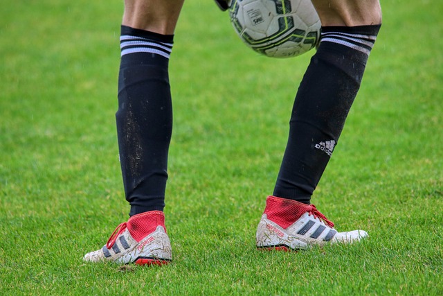 也面临着新 也面临着新