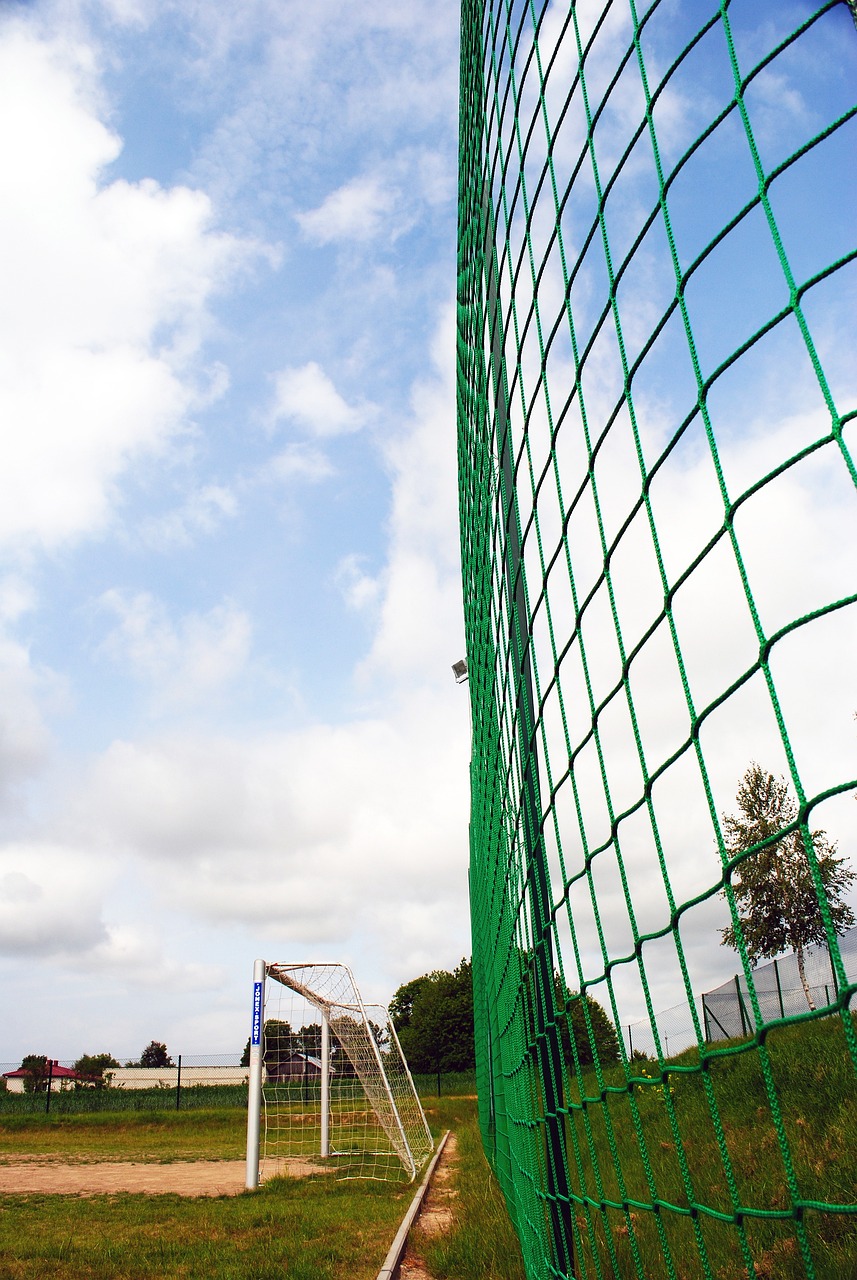 的应对策略 的应对策略