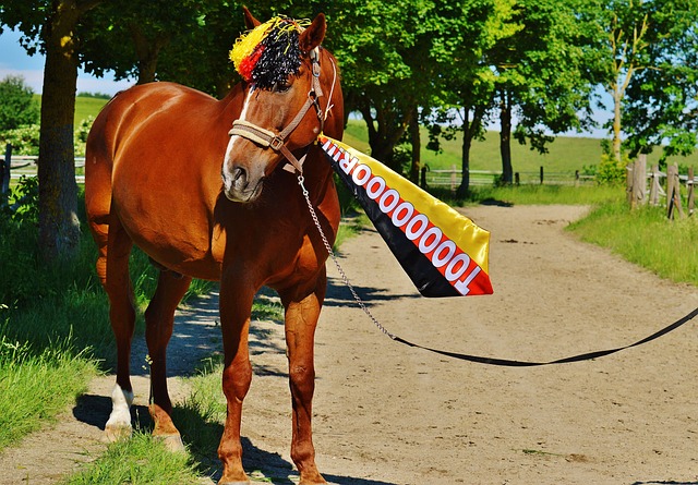 而是在抬起 而是在抬起