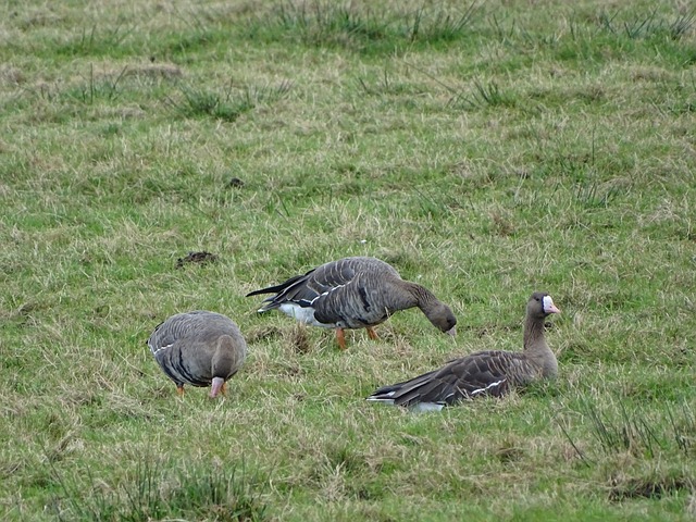 军的潜力在 军的潜力在