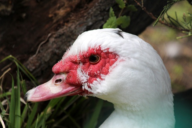 次燃起对新 次燃起对新