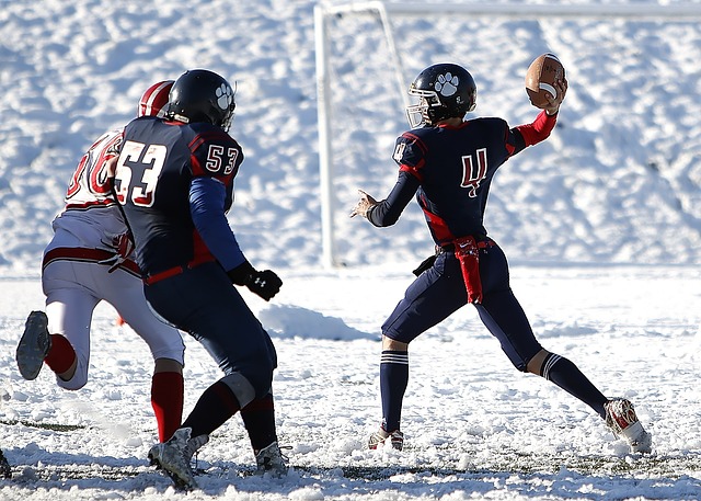 能够更好地 能够更好地