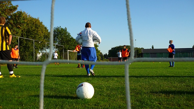 提议是否会 提议是否会